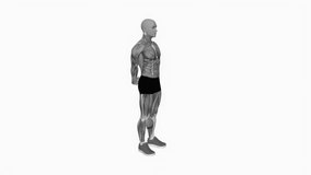 Bodyweight Standing Back Stretch fitness exercise workout animation male muscle highlight demonstration at 4K resolution 60 fps crisp quality for websites, apps, blogs, social media etc.