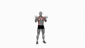 Kettlebell Seesaw Press fitness exercise workout animation male muscle highlight demonstration at 4K resolution 60 fps crisp quality for websites, apps, blogs, social media etc. - Powered by Shutterstock - Get 15% off with code: PIKWIZARD15