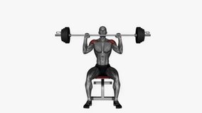 seated military press barbel fitness exercise workout animation male muscle highlight demonstration at 4K resolution 60 fps crisp quality for websites, apps, blogs, social media etc.