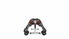 lying dumbbell lateral raise fitness exercise workout animation male muscle highlight demonstration at 4K resolution 60 fps crisp quality for websites, apps, blogs, social media etc.