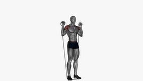 behind neck press resistance band cable fitness exercise workout animation male muscle highlight demonstration at 4K resolution 60 fps crisp quality for websites, apps, blogs, social media etc.