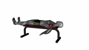 lying bench internal rotation stretch fitness exercise workout animation male muscle highlight demonstration at 4K resolution 60 fps crisp quality for websites, apps, blogs, social media etc.