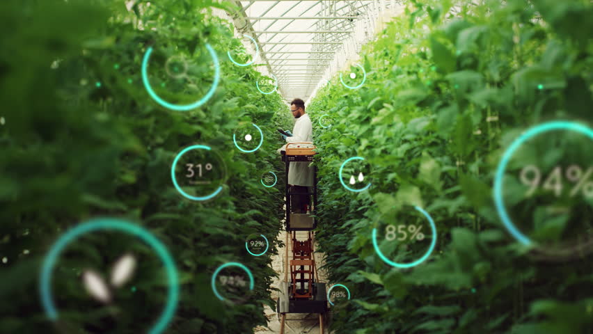 Male Bioengineer Inspecting Growth Of Crops On Modern Vertical Farm. Man Cultivates Organic Food or Plants In Technologically Advanced Greenhouse. VFX Infographics Animation Showing Statistics, Data. Royalty-Free Stock Footage #1100533161