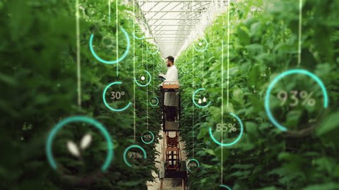 Professional Male Bioengineer Examining Crops on Modern Vertical Farm. Man With Tablet Computer Grows Organic Food or Plants In High-Tech Greenhouse. VFX Infographics Animation Showing Data. Stockvideó