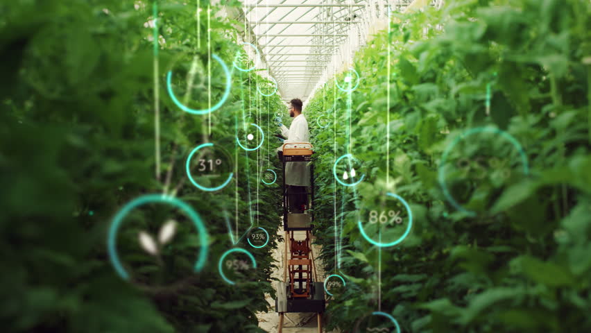 Professional Male Bioengineer Checking Progress of Crops Growing On Modern Vertical Farm. Man With Tablet Computer Cultivates Organic Food Or Plants In High-Tech Greenhouse. VFX Infographics Animation | Shutterstock HD Video #1100533171