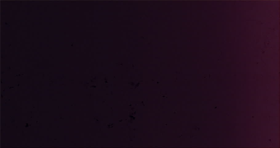 Organic Abstract Film Scratches, Spots and Damages Animation Effects. Motion Graphic Resource | Shutterstock HD Video #1100537581