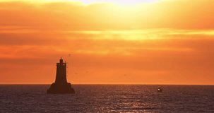 Seascape morning view, Sea sunrise light and flying seagull birds over lighthouse in the water 4k video
