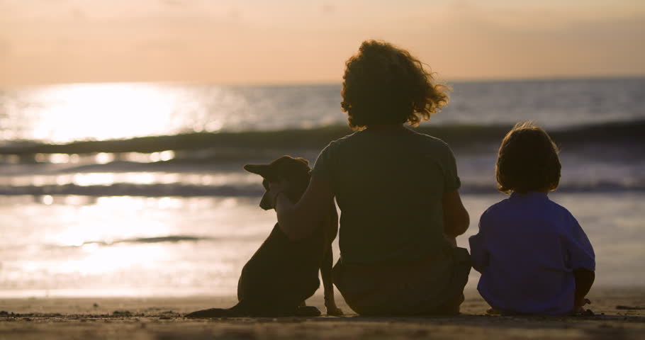 Silhouettes of backs of woman, boy and puppy, who sit together on ocean