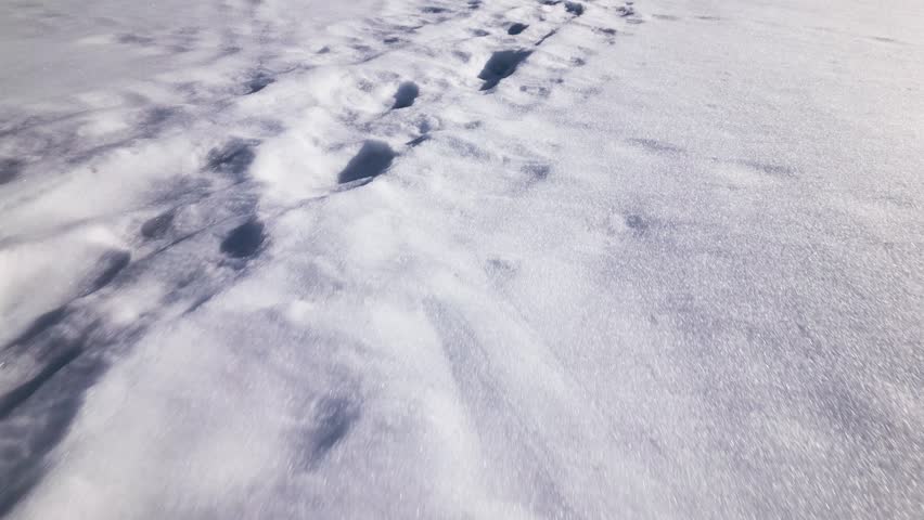 Following footsteps on the snow | Shutterstock HD Video #1100545821