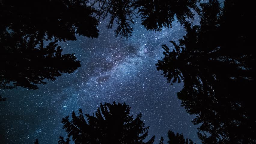 Magic top view of milky way galaxy stars rotates in dark forest nature in blue starry night sky astronomy Time lapse 4K