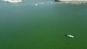 Aerial video pod o dolphins in Miami waters Biscayne Bay