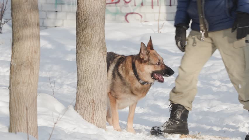 A man plays with a dog in winter