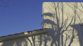 Time-lapse video of moving, dancing tree brunch shadows across white house facade during sunny morning