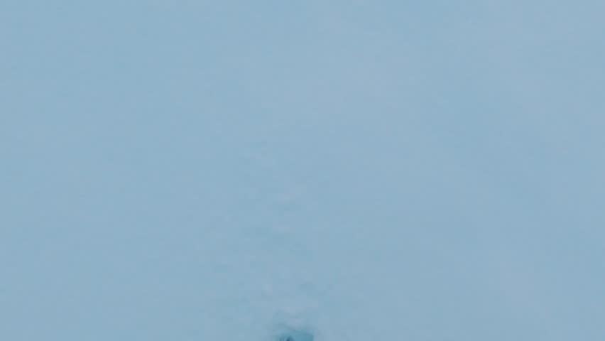 Human Footprints in the Snow. Follow the Trail on the White Snow. Winter Season. Legs of Woman Walking on Snow With Footprints on Snowy Day Walking on the Snow Wearing Winter Boots. Slow Motion Royalty-Free Stock Footage #1100571247