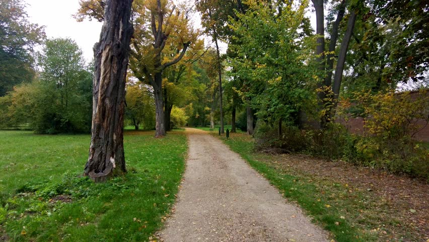 A walk in the autumn park along a well-maintained path. Colored trees and bushes. Fallen yellow and dry leaves. First person view
