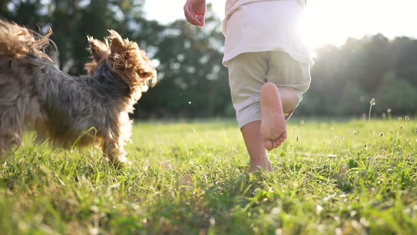 Child runs barefoot on grass in park. Joyful kid running with dog. Healthy active lifestyle of child in the park. Happy kid runs with bare feet. Kid having fun with dog outdoors park Royalty-Free Stock Footage #1100574563