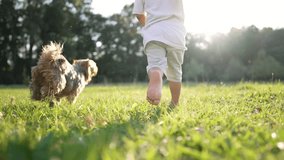 Child runs barefoot on grass in park. Joyful kid running with dog. Healthy active lifestyle of child in the park. Happy kid runs with bare feet. Kid having fun with dog outdoors park - Powered by Shutterstock - Get 15% off with code: PIKWIZARD15