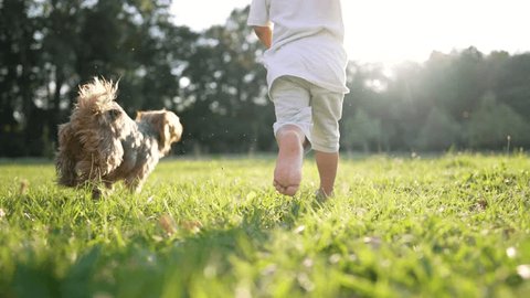 Child runs barefoot on grass in park. Joyful kid running with dog. Healthy active lifestyle of child in the park. Happy kid runs with bare feet. Kid having fun with dog outdoors park - Βίντεο στοκ