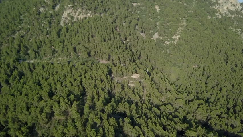 Drone approaching overhead a mountain full of pine trees in the afternoon.