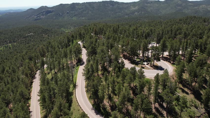 Aerial View of Windy Road and Conifer Forest in Custer State Park, South Dakota USA, Drone Shot