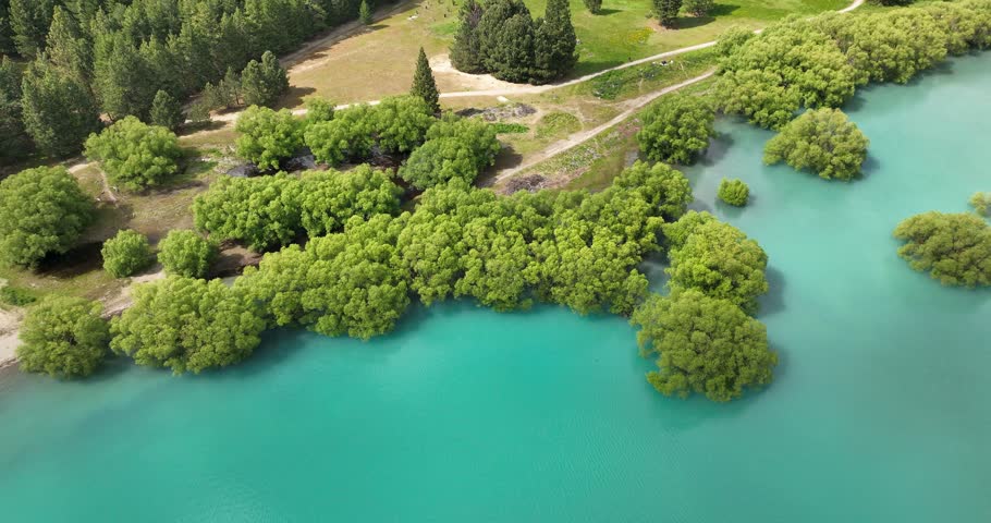 Lake Tekapo turquoise water with lush green trees semi submerged on shoreline