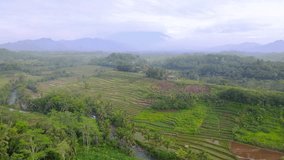 Aerial view of rural landscape of Indonesia with view of agricultural field and river with cloudy mountain on the background