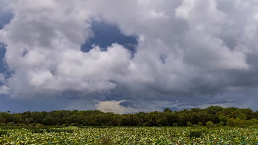 Timelapse of storm clouds over a lillie covered billabong during the wet season