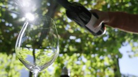 Red wine pouring into glass, slow motion - Powered by Shutterstock - Get 15% off with code: PIKWIZARD15