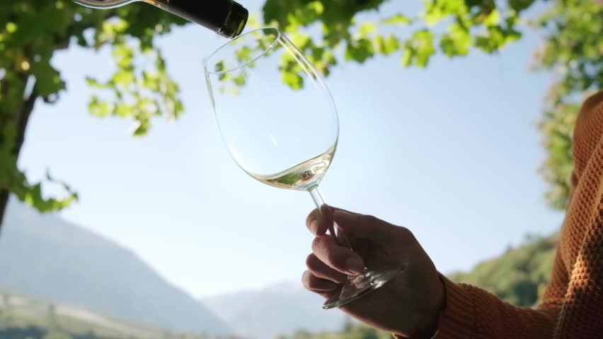 Red wine pouring into glass, under a vine arbor, slow motion Royalty-Free Stock Footage #1100592139