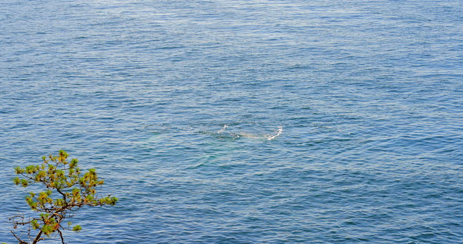 Establishing shot of ocean beach with waves and rocks in slow motion at summer day in Vancouver, Canada, North America. Day time on February 2023. Still camera. ProRes 422 HQ.