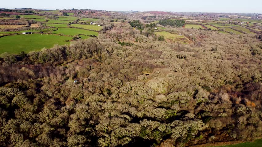 Aerial flight over winter woodland that stretches up a narrow valley. Surrounding are small farms and fields.  Taken near Constantine, Falmouth, Cornwall