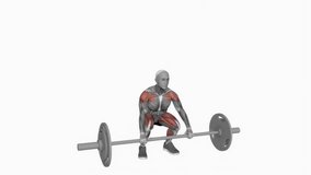 Barbell muscle clean powerlifting fitness exercise workout animation male muscle highlight demonstration at 4K resolution 60 fps crisp quality for websites, apps, blogs, social media etc.