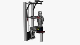 reverse machine fly fitness exercise workout animation male muscle highlight demonstration at 4K resolution 60 fps crisp quality for websites, apps, blogs, social media etc.