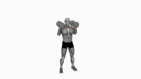 Dumbbell Standing Alternate Overhead Press fitness exercise workout animation male muscle highlight demonstration at 4K resolution 60 fps crisp quality for websites, apps, blogs, social media etc.