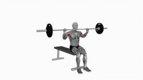 Barbell seated overhead press fitness exercise workout animation male muscle highlight demonstration at 4K resolution 60 fps crisp quality for websites, apps, blogs, social media etc.