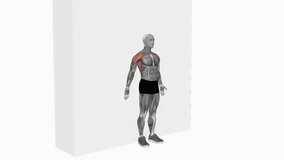 Bodyweight Standing Around World Wall Supported fitness exercise workout animation male muscle highlight demonstration at 4K resolution 60 fps crisp quality for websites, apps, blogs, social media etc