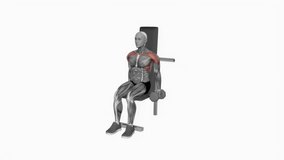 Dumbbell Seated Front Raise fitness exercise workout animation male muscle highlight demonstration at 4K resolution 60 fps crisp quality for websites, apps, blogs, social media etc.