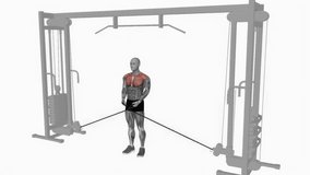 cable lateral raise fitness exercise workout animation male muscle highlight demonstration at 4K resolution 60 fps crisp quality for websites, apps, blogs, social media etc.