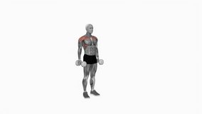 Dumbbell Lateral to Front Raise fitness exercise workout animation male muscle highlight demonstration at 4K resolution 60 fps crisp quality for websites, apps, blogs, social media etc.