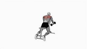Dumbbell Chest Supported Lateral Raises fitness exercise workout animation male muscle highlight demonstration at 4K resolution 60 fps crisp quality for websites, apps, blogs, social media etc.