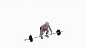 Barbell split clean powerlifting fitness exercise workout animation male muscle highlight demonstration at 4K resolution 60 fps crisp quality for websites, apps, blogs, social media etc.