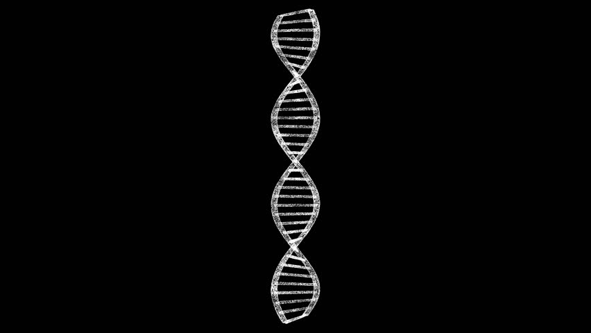 3D DNA strand rotates on black bg. Object dissolved white flickering particles 60 FPS. Business advertising backdrop. Science concept. For title, text, presentation. 3D animation Royalty-Free Stock Footage #1100611527