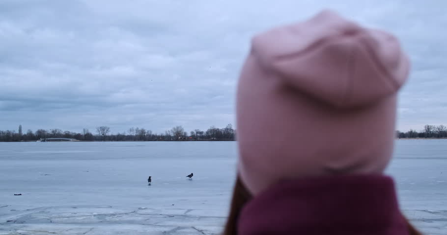 Woman looks at a frozen lake. Cloudy weather, clouds, cold. Rear view, the camera moves to the landscape.