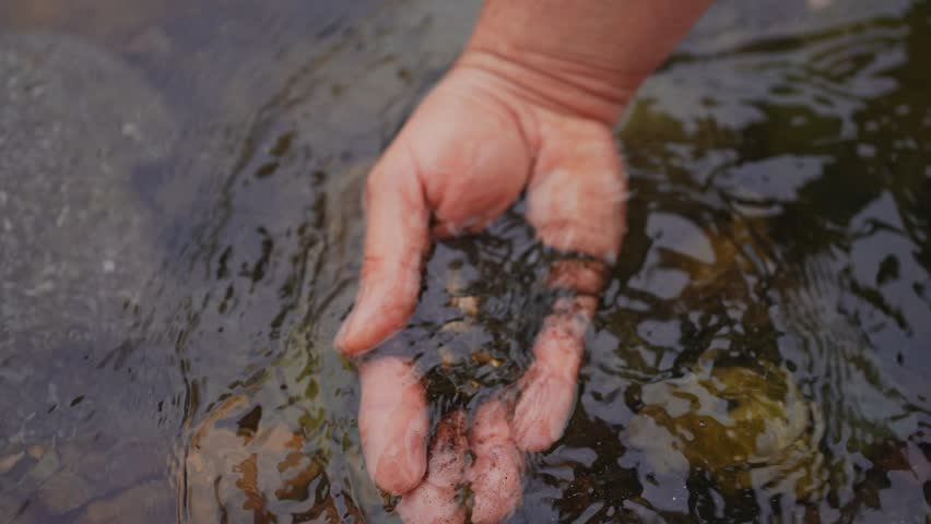 Gold nuggets in hand gold mining old school ,traditional gold rush mining gold washing river