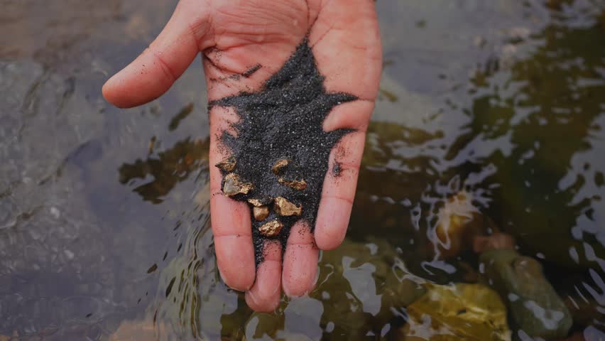 Gold nuggets in hand gold mining old school ,traditional gold rush mining gold washing river