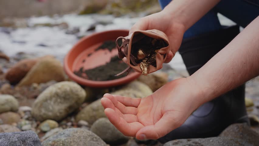 a handful of gold nuggets in the hand of a gold miner