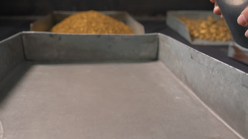 Close Up Of Factory Worker Pouring Gold Dust And Ore Nuggets From Bucket. Precious Metal Ore Production. Making Heap Of Gold Dust In Tray. Gold Dust For Ore Manufacturing. Shiny Royalty-Free Stock Footage #1100622721