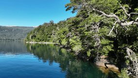 Aerial drone footage of green nature in the forest, coast, and water around Nahuel Huapi Lake, Patagonia, Bariloche, Argentina. It captures the beautiful sunny tranquility