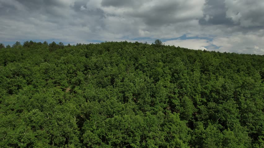 Forest Among Clouds, green woodland land drone view, turkish mountain range view, high green fields under clouds and sky
