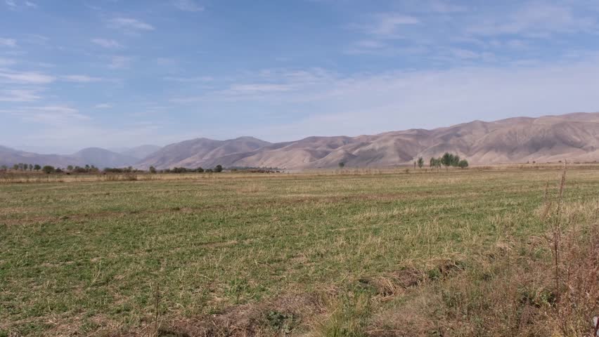 Horses in a pasture against the backdrop of mountains, morning in the steppe of Kyrgyzstan